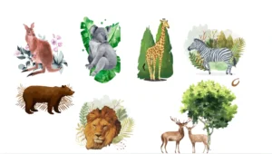 Animals & Waterfall Illustrations Set