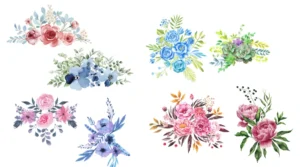 Flowers Illustrations Set