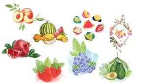 Fruits Illustrations Set