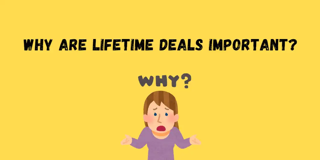 Why Are Lifetime Deals Important?