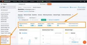 Semrush Backlink Analysis