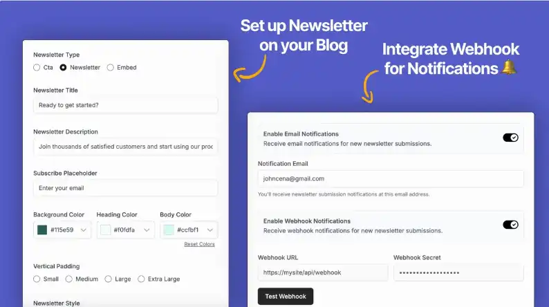 Built-in Newsletter & Webhooks